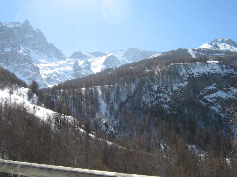IMG-9834.JPG
