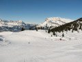 IMG-0661.JPG