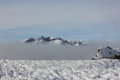 IMG-2507.JPG