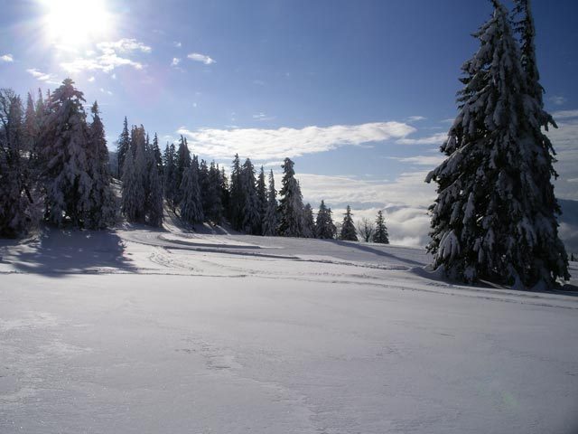 Lilienfeld001.jpg