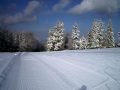 Lilienfeld009.jpg