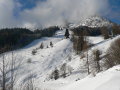 lofer-124.JPG