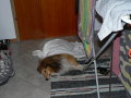 lofer-235.JPG