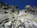 P1000614.jpg
