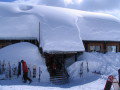 IMG-4349.jpg