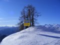 2009_01240082.JPG