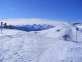 2009_01240150.JPG