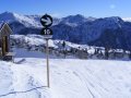 2009_01240155.JPG