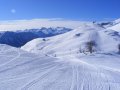 2009_01240157.JPG