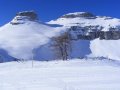 2009_01240162.JPG
