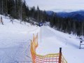 2009_01240194.JPG
