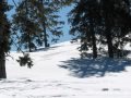 madarasi-hargita24.JPG