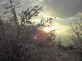 PICT0306.jpg