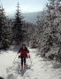 PICT0309.jpg