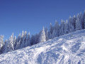 PICT0327.jpg