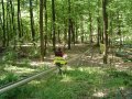 X-Trem Bob, Szilv�sv�rad, <a href="http://www.szilvasvaradbob.hu" target="_blank">www.szilvasvaradbob.hu</a>