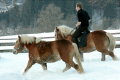 malerhof-nassfeld0020.JPG