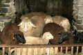 malerhof-nassfeld0022.JPG