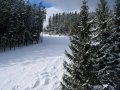 DSCN5279.JPG