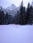 A gleccserr�l a Malga Ciap�laba viv� erdei p�lya