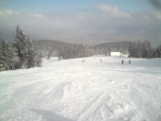 DSC00939.JPG