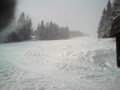 DSC00937.JPG