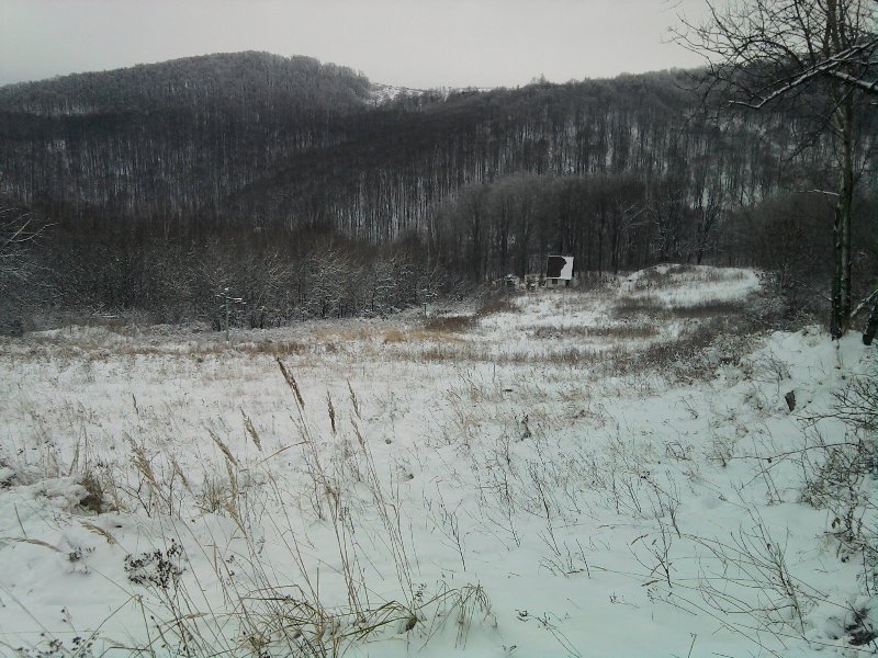 2010-11-28-12.57.20.jpg