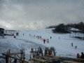 Image00004.jpg