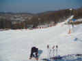 M�traszentistv�n 2011.02.27.&nbsp;(7 k�p)