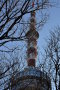 DSC-6170.jpg