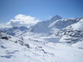 IMG-0319.JPG