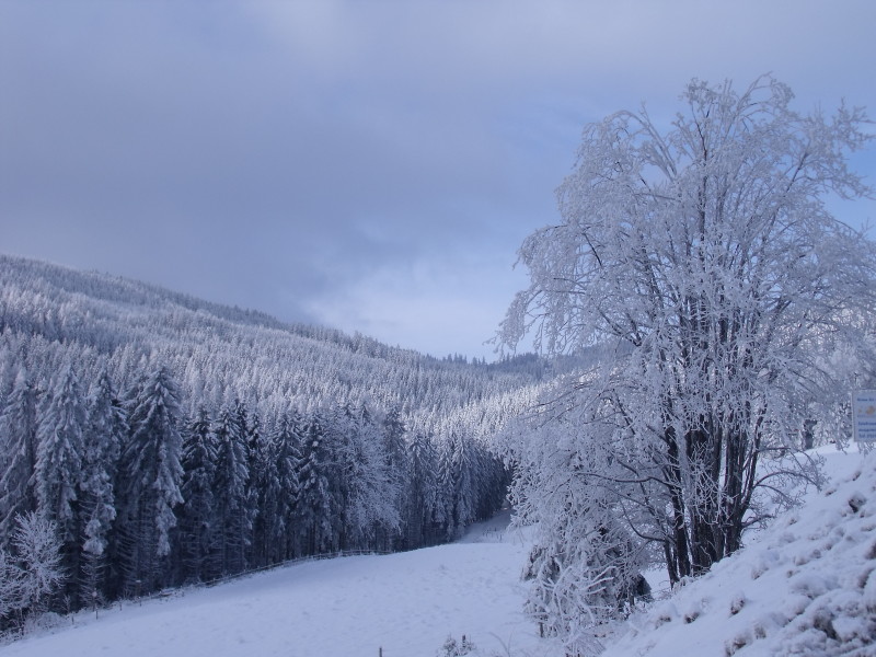2009-12190002.JPG