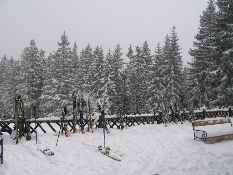 IMG-5067.JPG