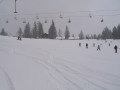 IMG-5033.JPG