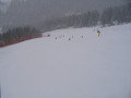 IMG-5051.JPG