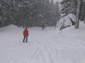 IMG-5063.JPG