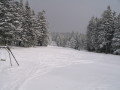 IMG-5070.JPG