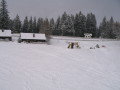 IMG-5078.JPG