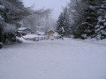 IMG-4624.JPG