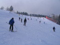 IMG-4648.JPG