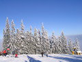 IMG-4669.JPG