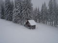 DSC03723.jpg