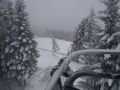 DSC03727.jpg