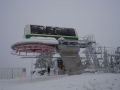DSC03754.jpg
