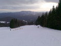 M�nichwald, 2008. december&nbsp;(15 k�p)