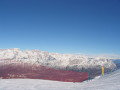 100-0045.JPG