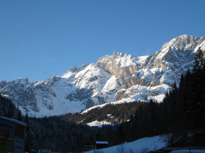 IMG-3398.JPG