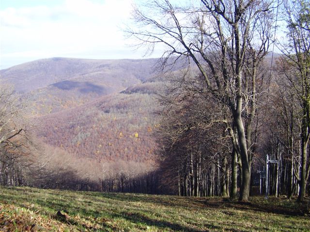 Borzsony_2008_nov_2_073.jpg