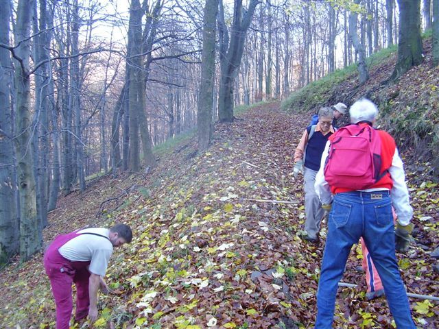 Borzsony_2008_nov_2_081.jpg