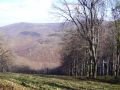 Borzsony_2008_nov_2_073.jpg